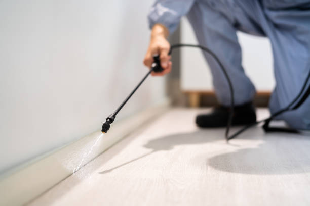 Flea Control Services in Prestbury, IL