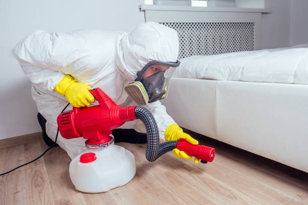 Best Local Pest Control Services  in Prestbury, IL