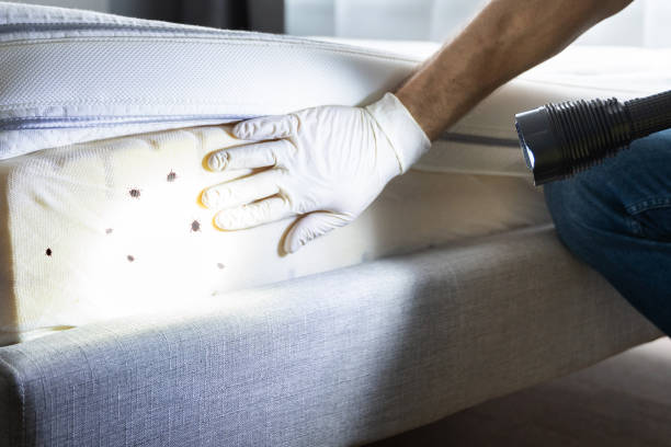 Best Cockroach Control Services  in Prestbury, IL