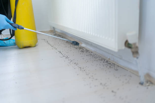 Best Best Pest Control Companies  in Prestbury, IL
