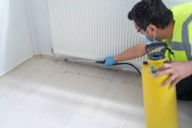 Best Termite Control Services  in Prestbury, IL